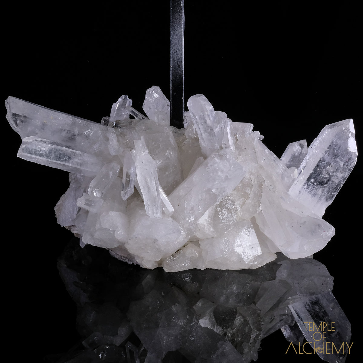 * Reserved F.B * Citrine + Rainbows