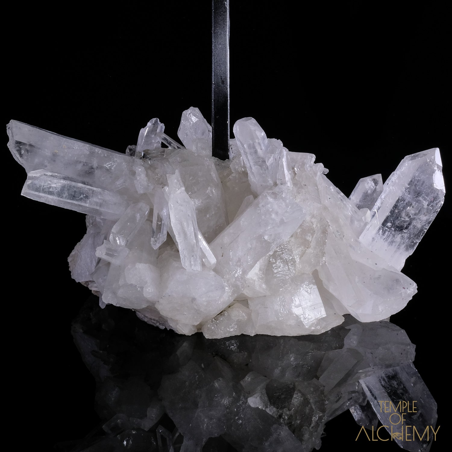 * Reserved F.B * Citrine + Rainbows