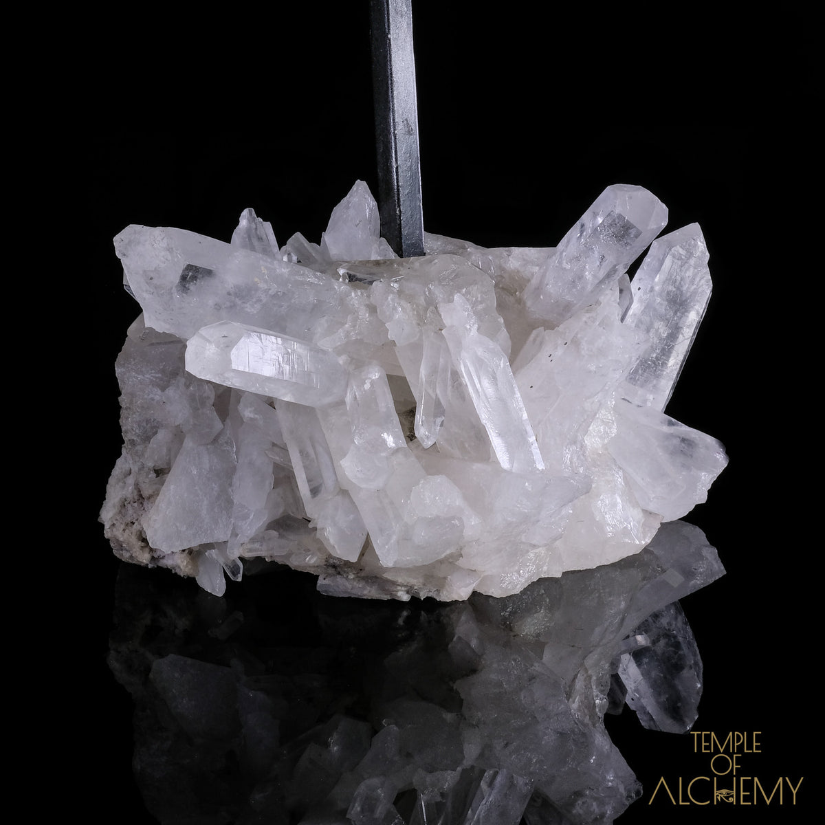 * Reserved F.B * Citrine + Rainbows