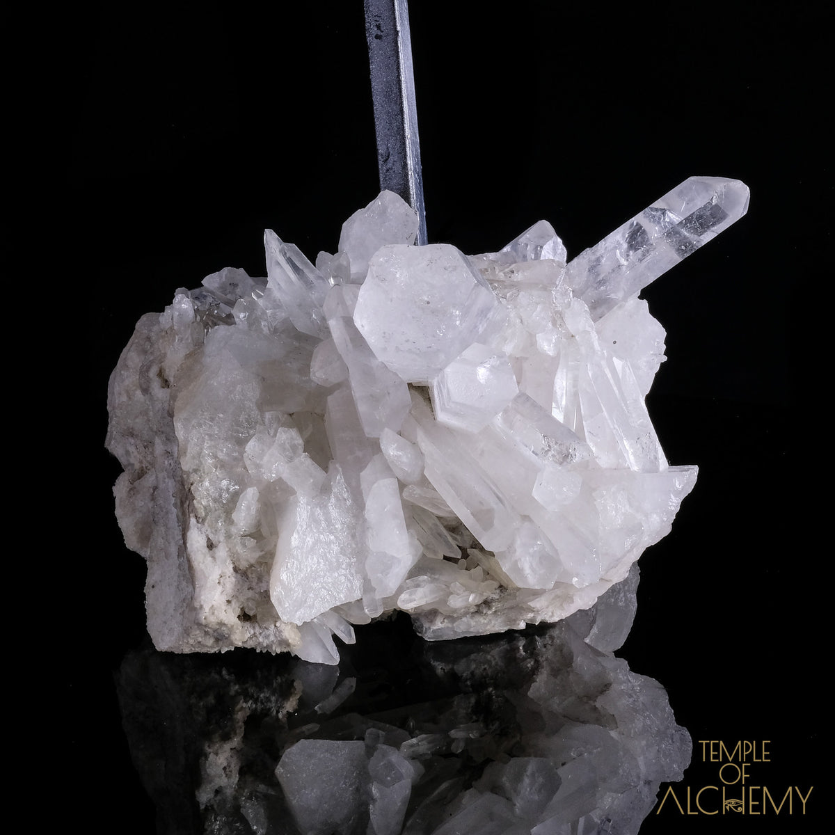 * Reserved F.B * Citrine + Rainbows