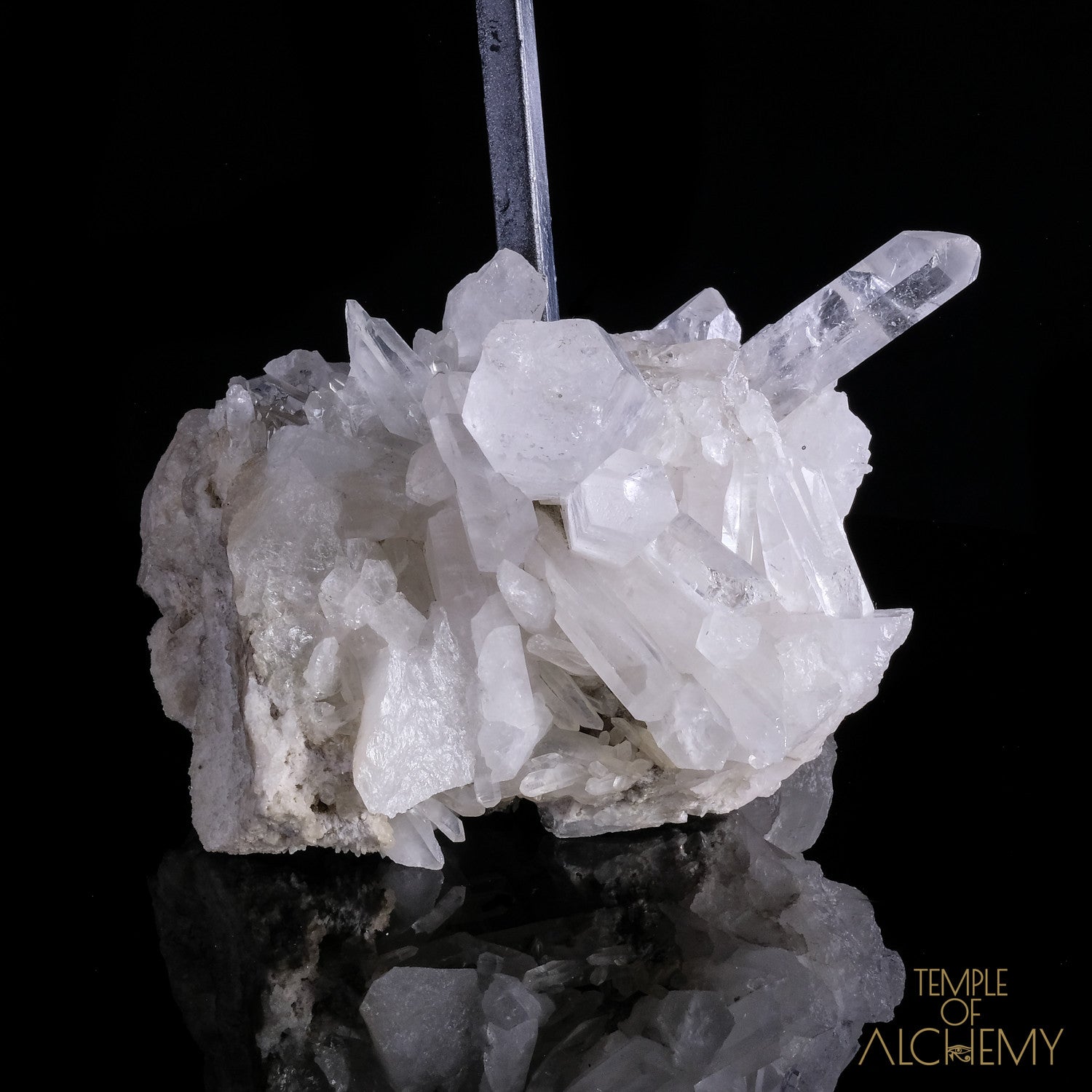 * Reserved F.B * Citrine + Rainbows