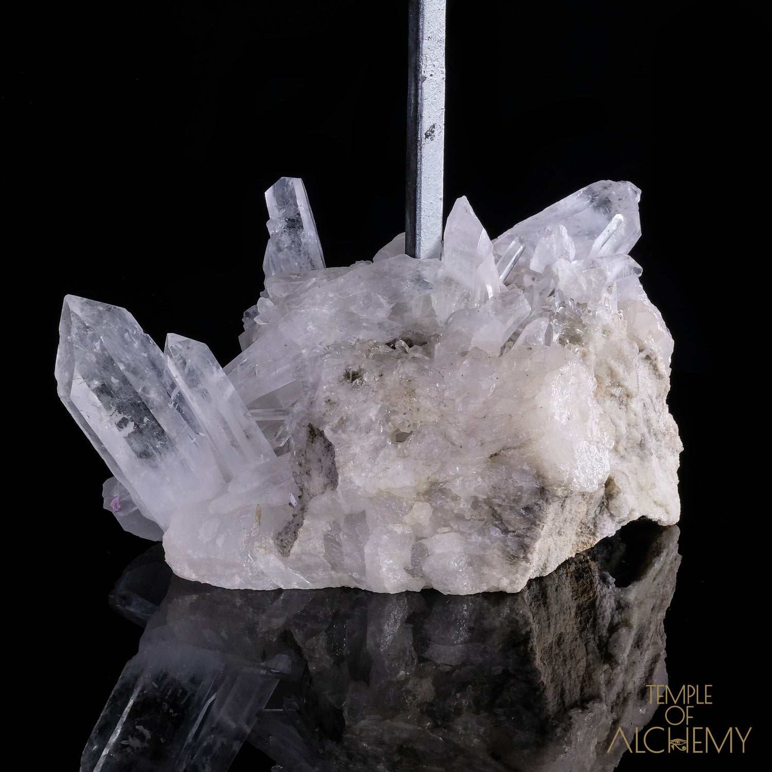 * Reserved F.B * Citrine + Rainbows