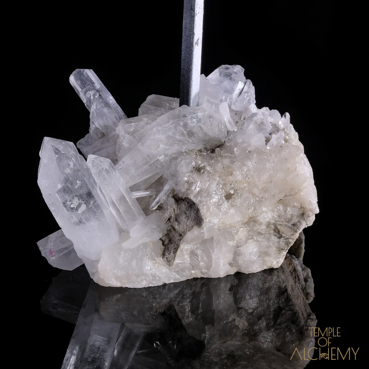 * Reserved F.B * Citrine + Rainbows