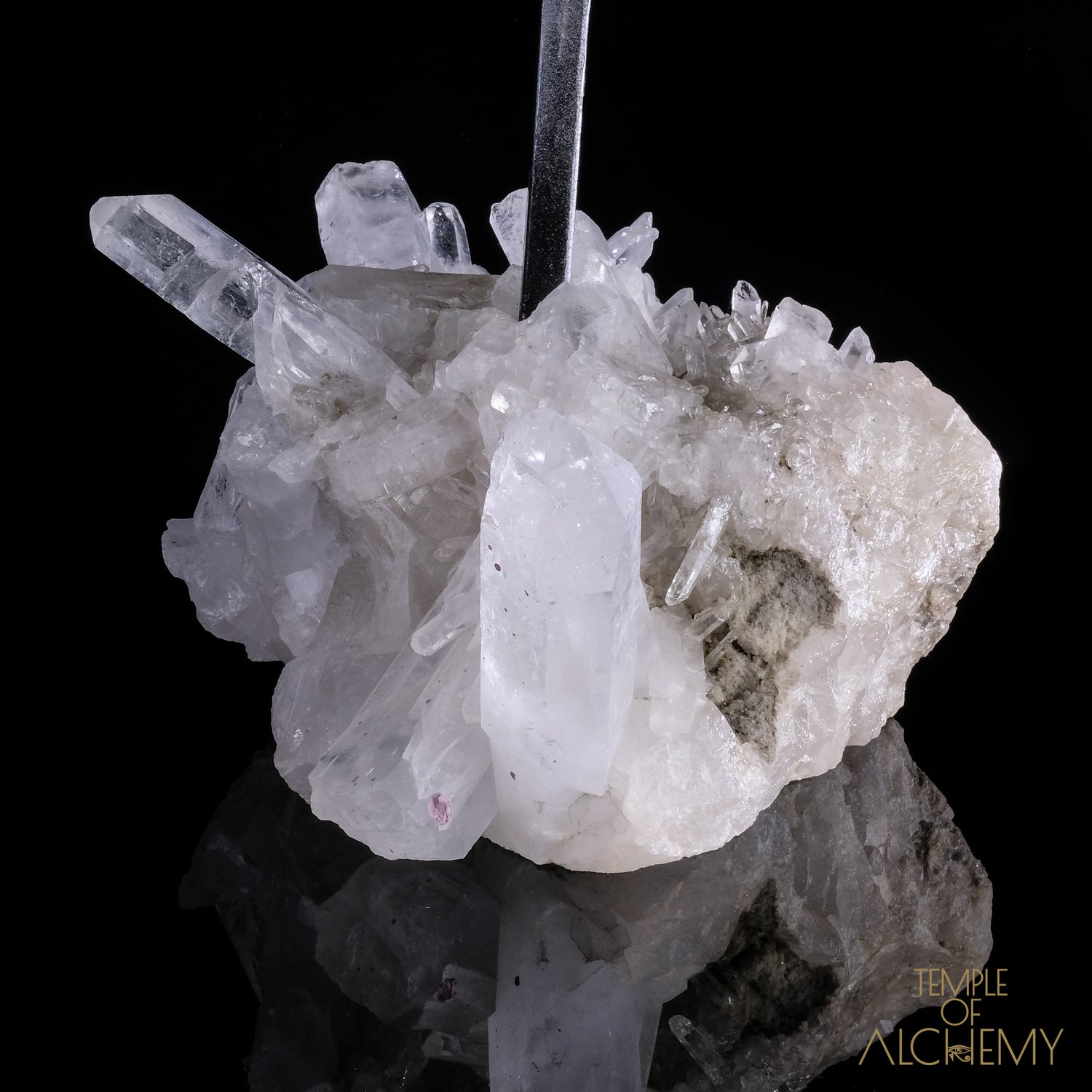 * Reserved F.B * Citrine + Rainbows