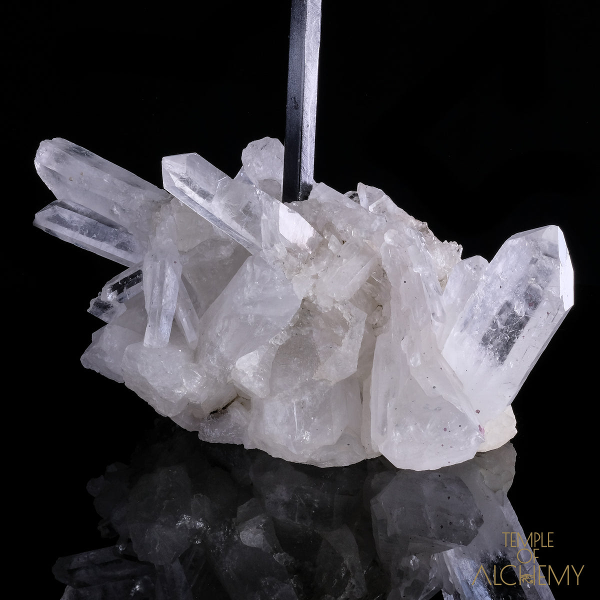 * Reserved F.B * Citrine + Rainbows