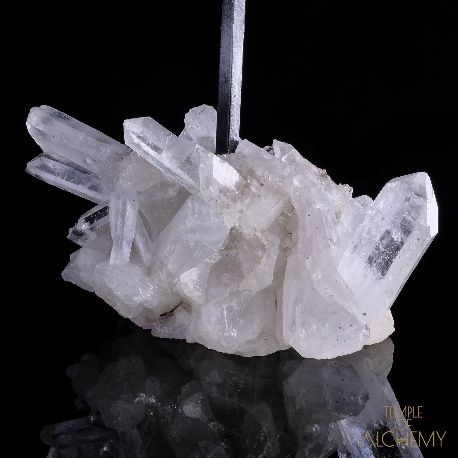 * Reserved F.B * Citrine + Rainbows