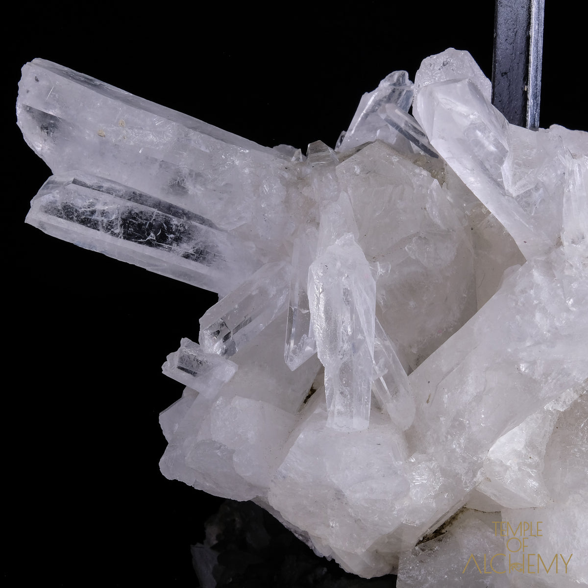 * Reserved F.B * Citrine + Rainbows