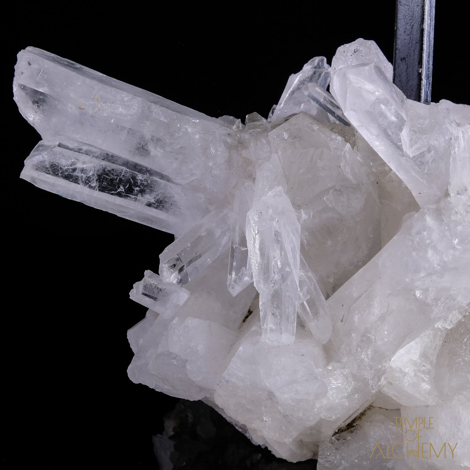 * Reserved F.B * Citrine + Rainbows