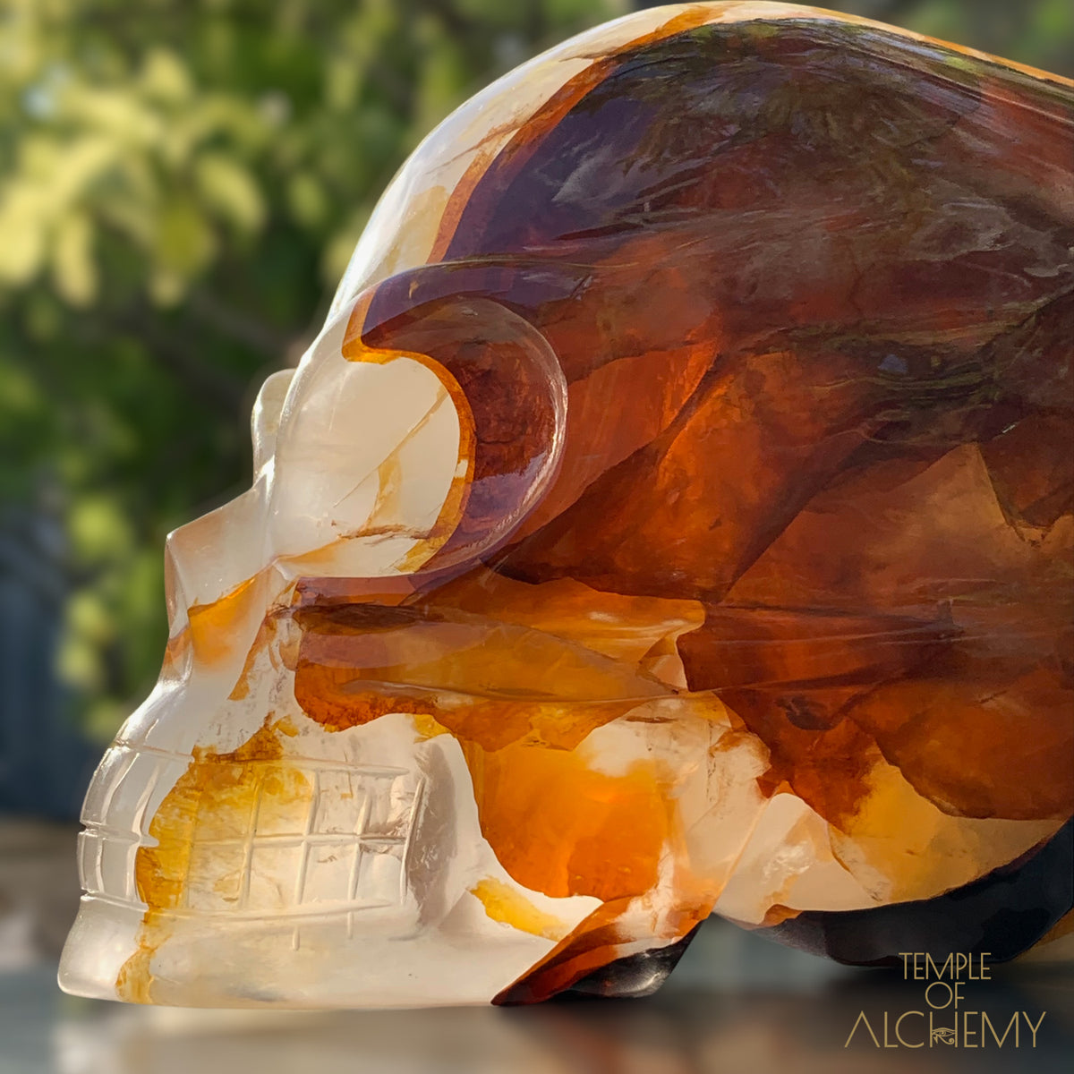 Star Girasol x Golden Healer x Hematoid Quartz