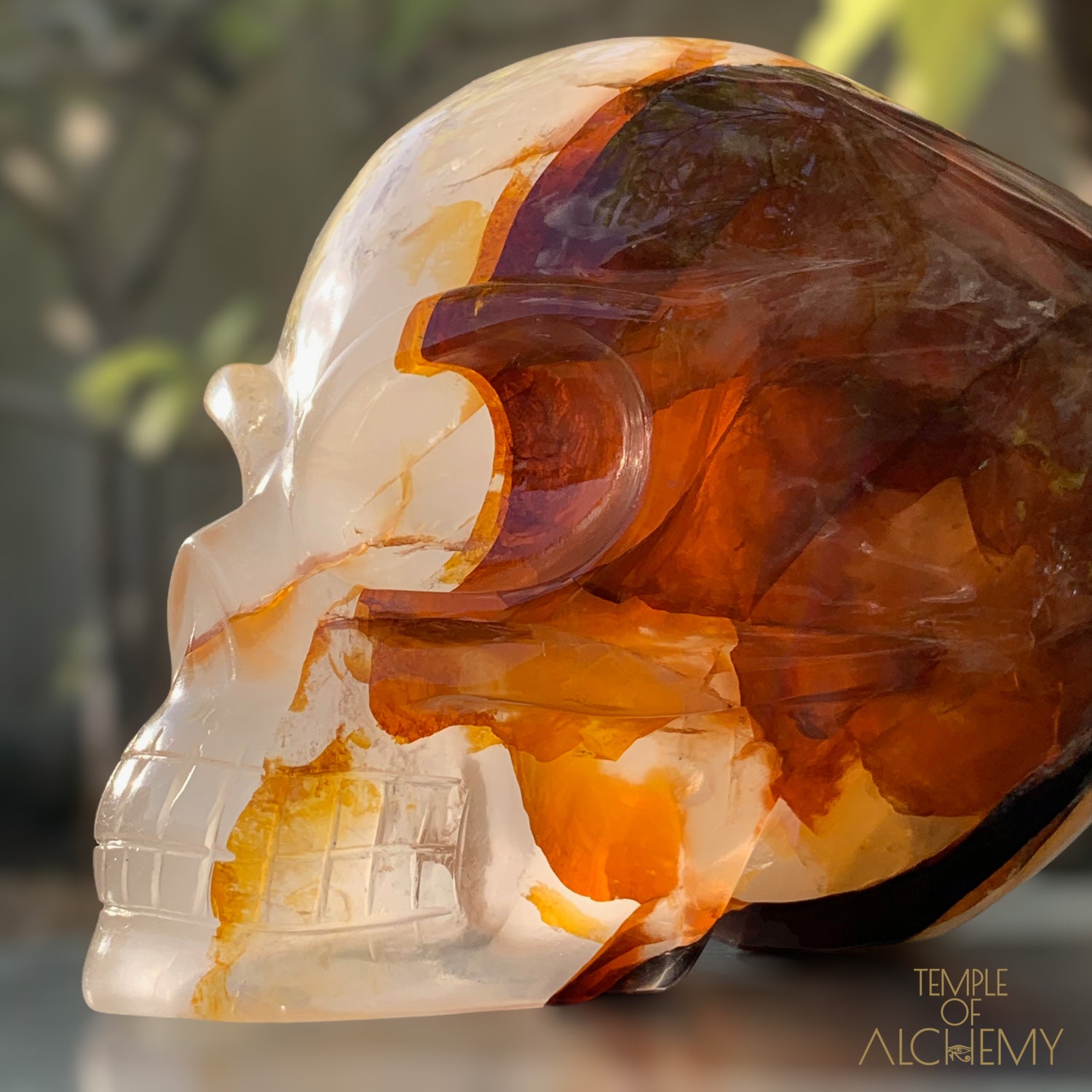 Star Girasol x Golden Healer x Hematoid Quartz