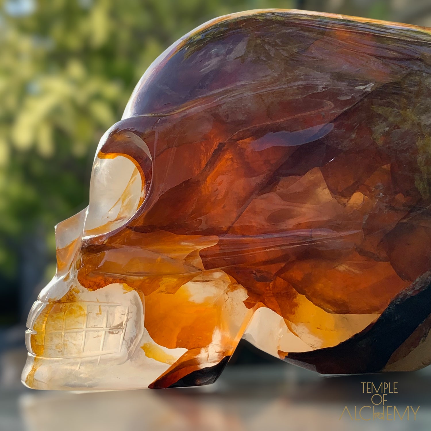 Star Girasol x Golden Healer x Hematoid Quartz