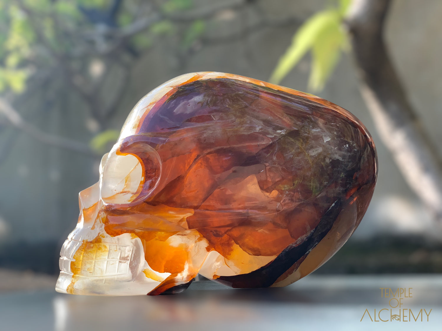 Star Girasol x Golden Healer x Hematoid Quartz