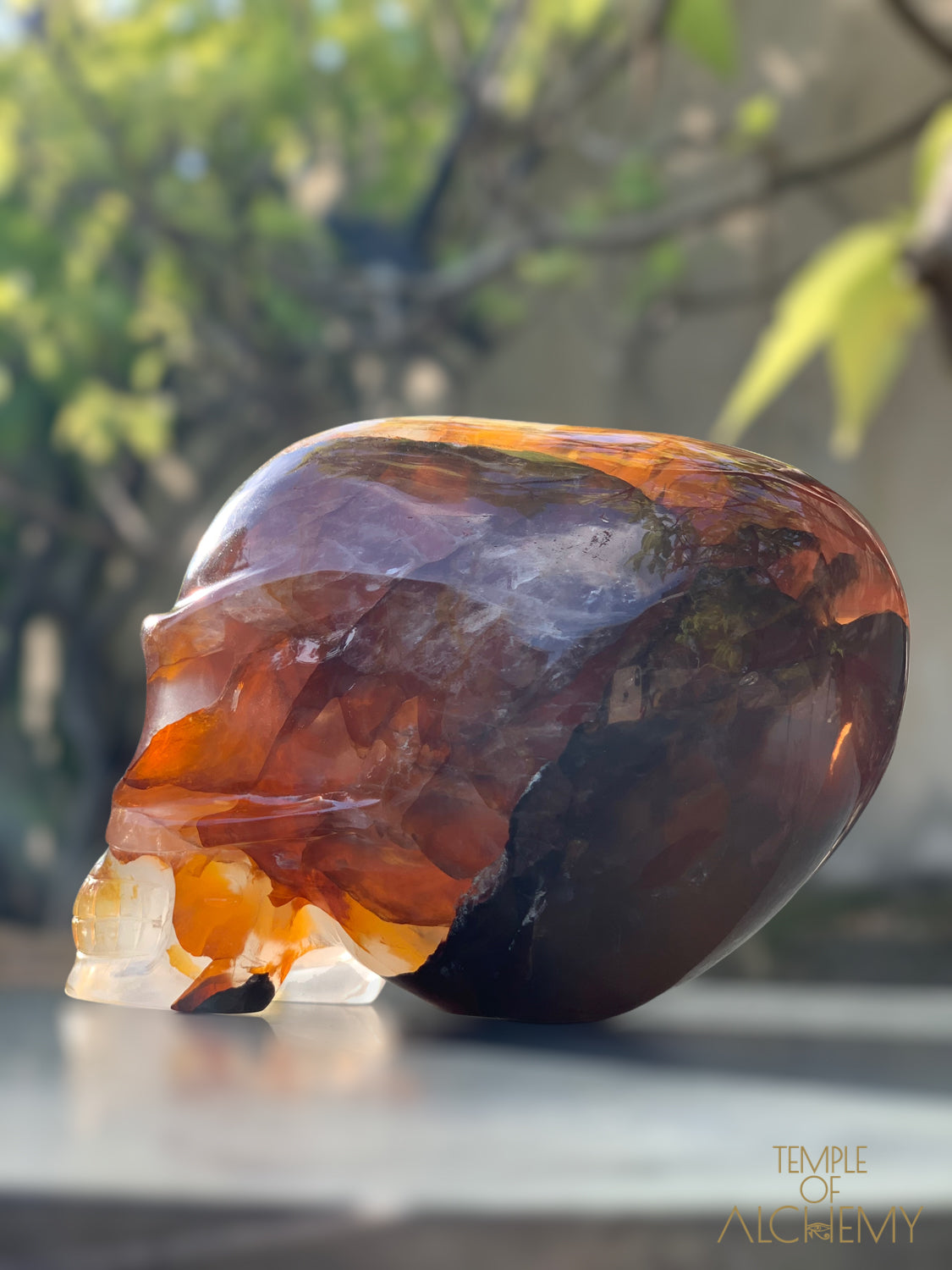 Star Girasol x Golden Healer x Hematoid Quartz