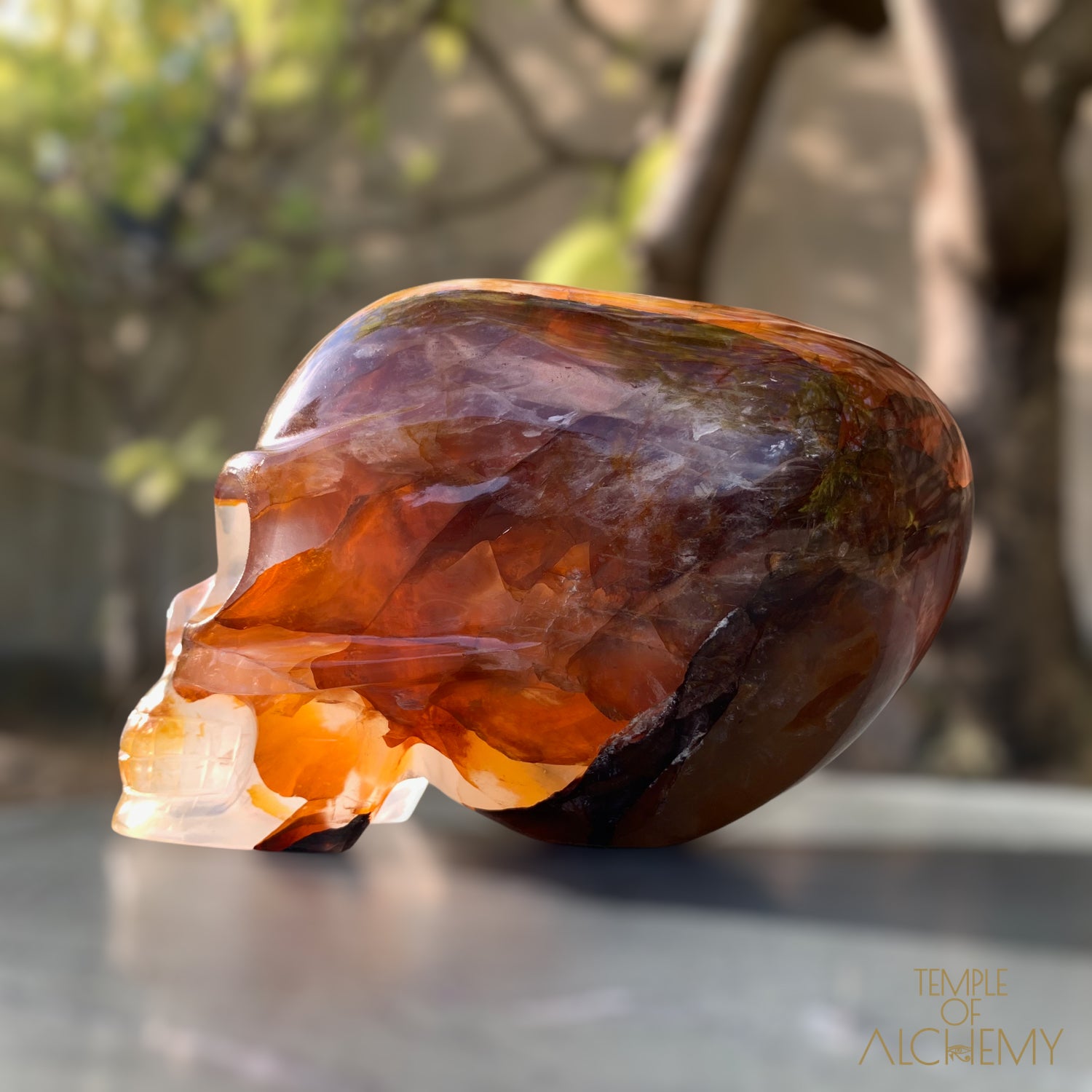 Star Girasol x Golden Healer x Hematoid Quartz