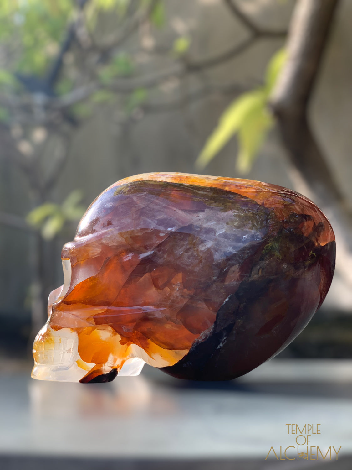 Star Girasol x Golden Healer x Hematoid Quartz