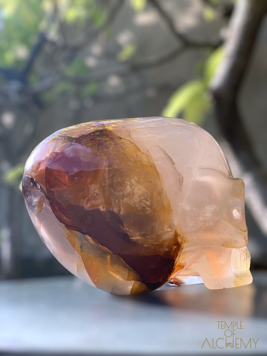 Star Girasol x Golden Healer x Hematoid Quartz