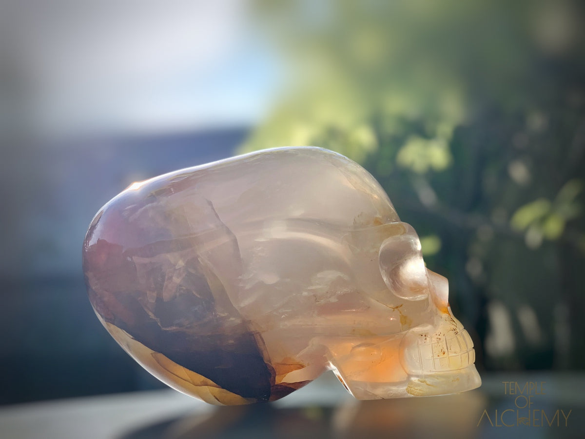 Star Girasol x Golden Healer x Hematoid Quartz