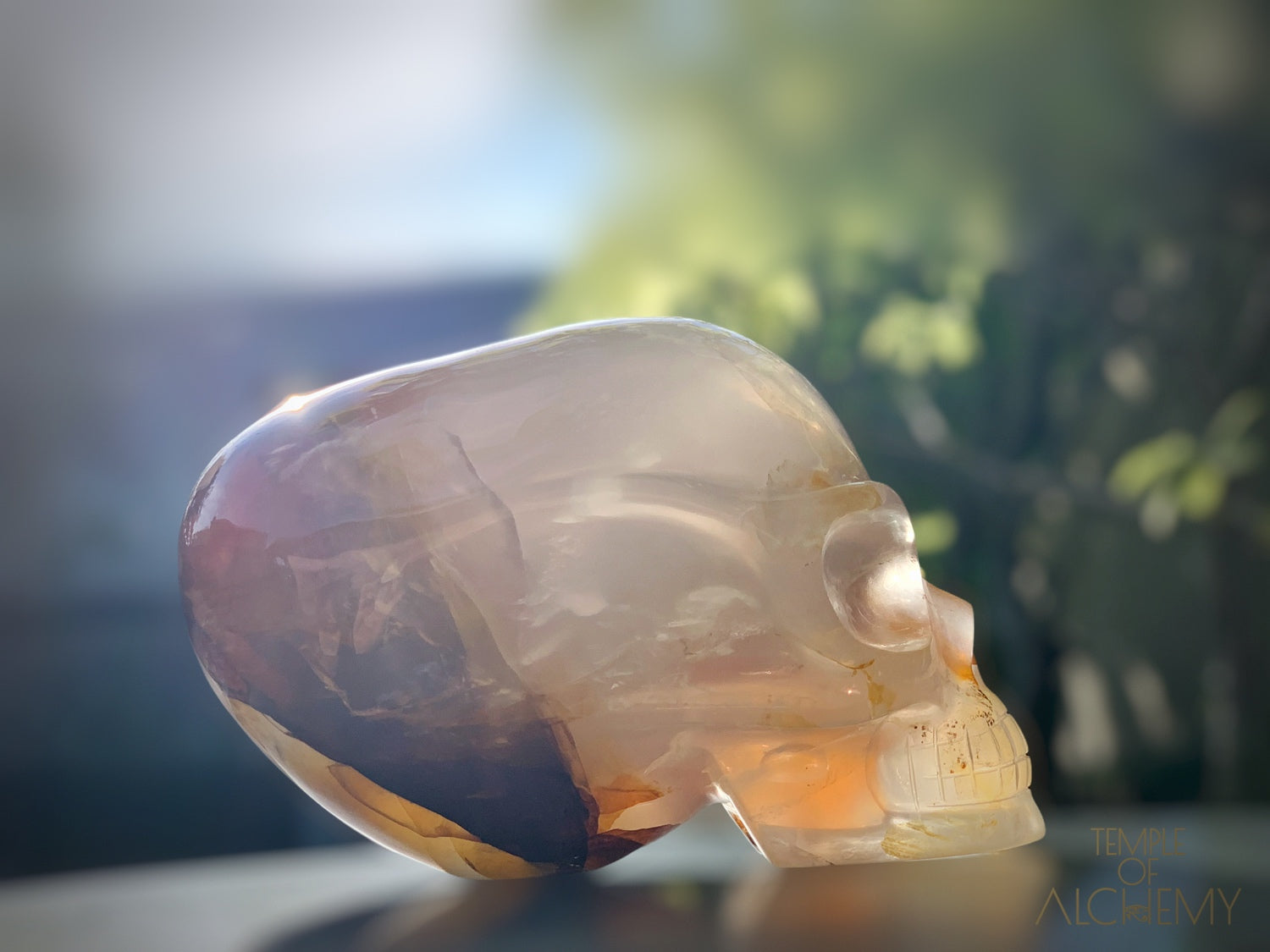 Star Girasol x Golden Healer x Hematoid Quartz