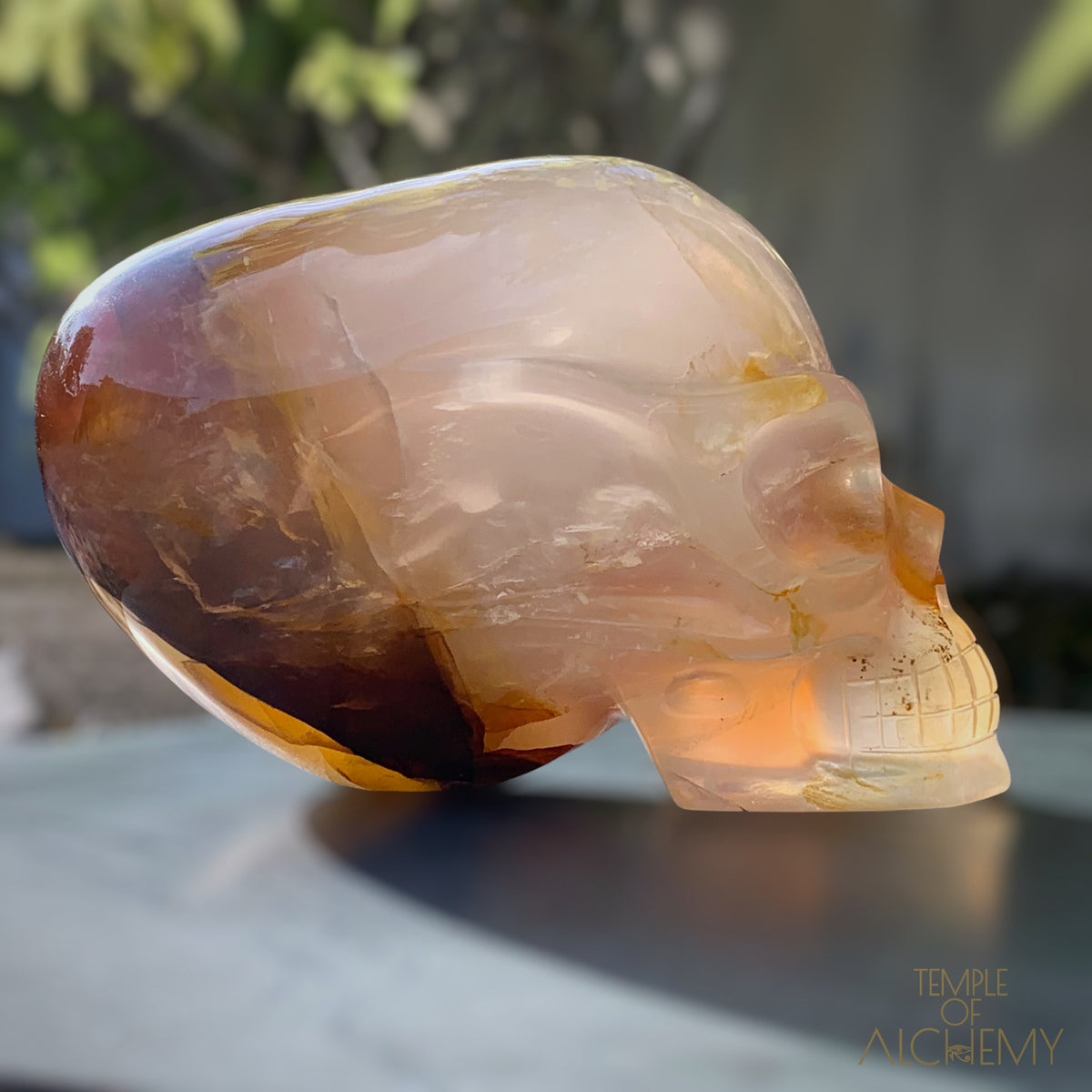 Star Girasol x Golden Healer x Hematoid Quartz