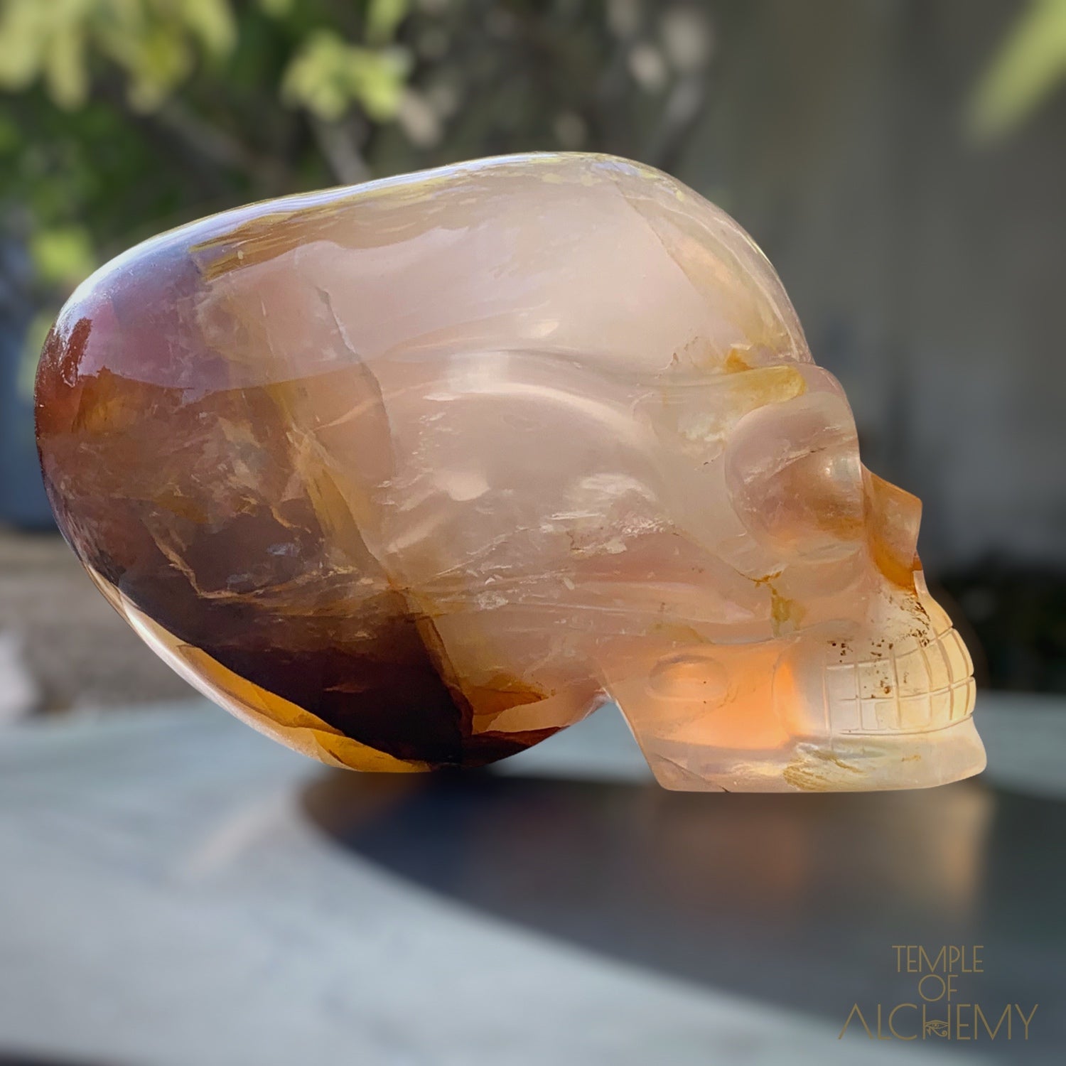 Star Girasol x Golden Healer x Hematoid Quartz