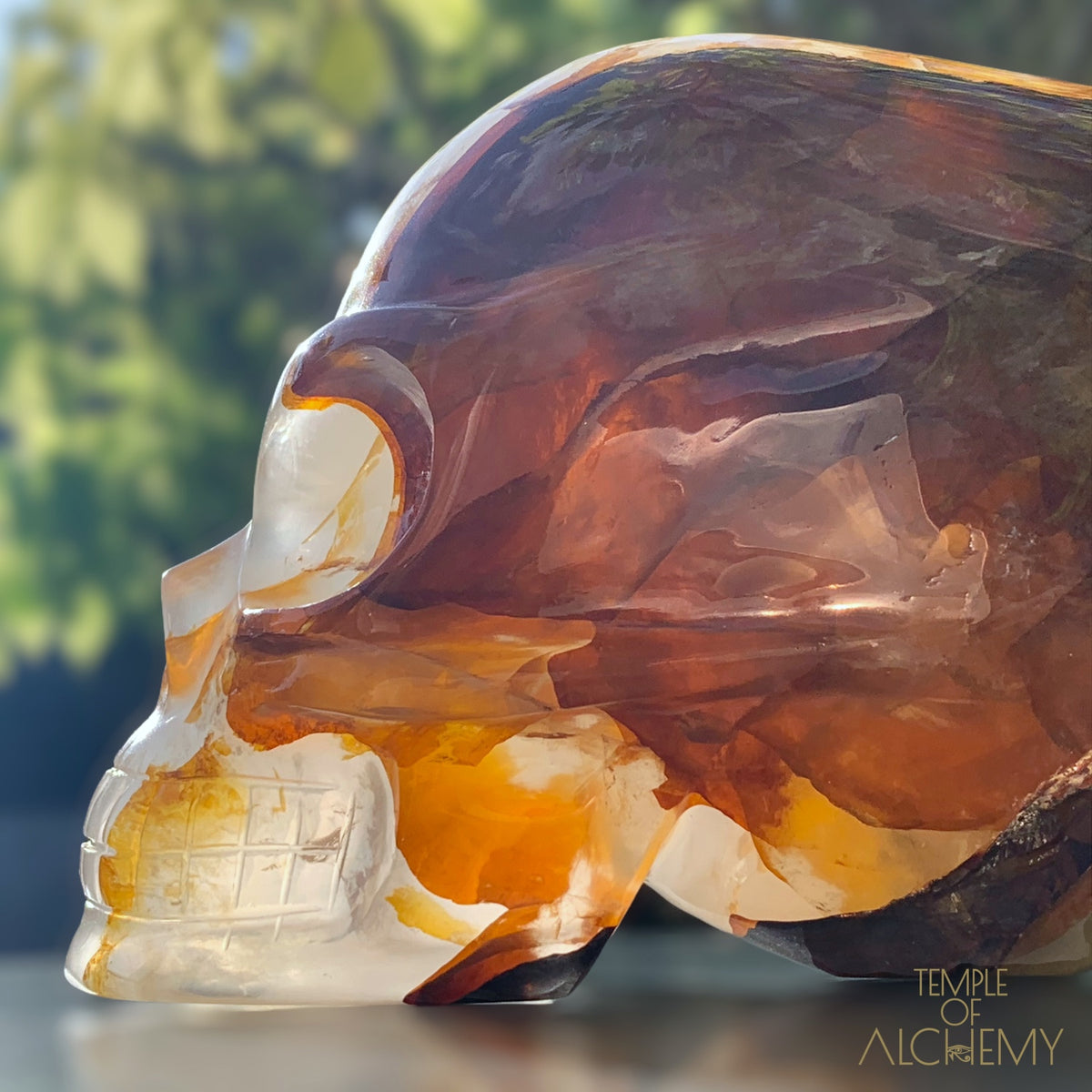 Star Girasol x Golden Healer x Hematoid Quartz