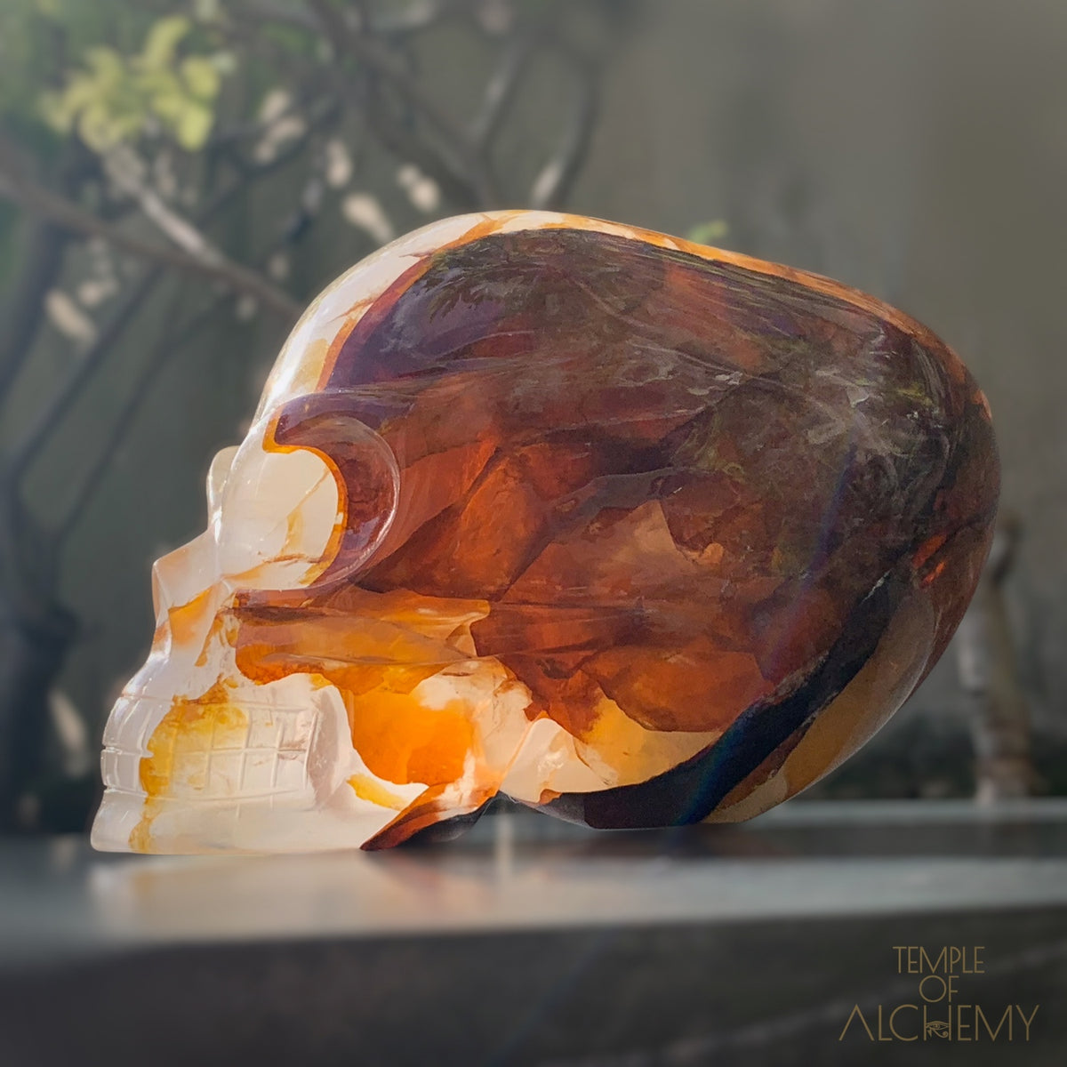 Star Girasol x Golden Healer x Hematoid Quartz