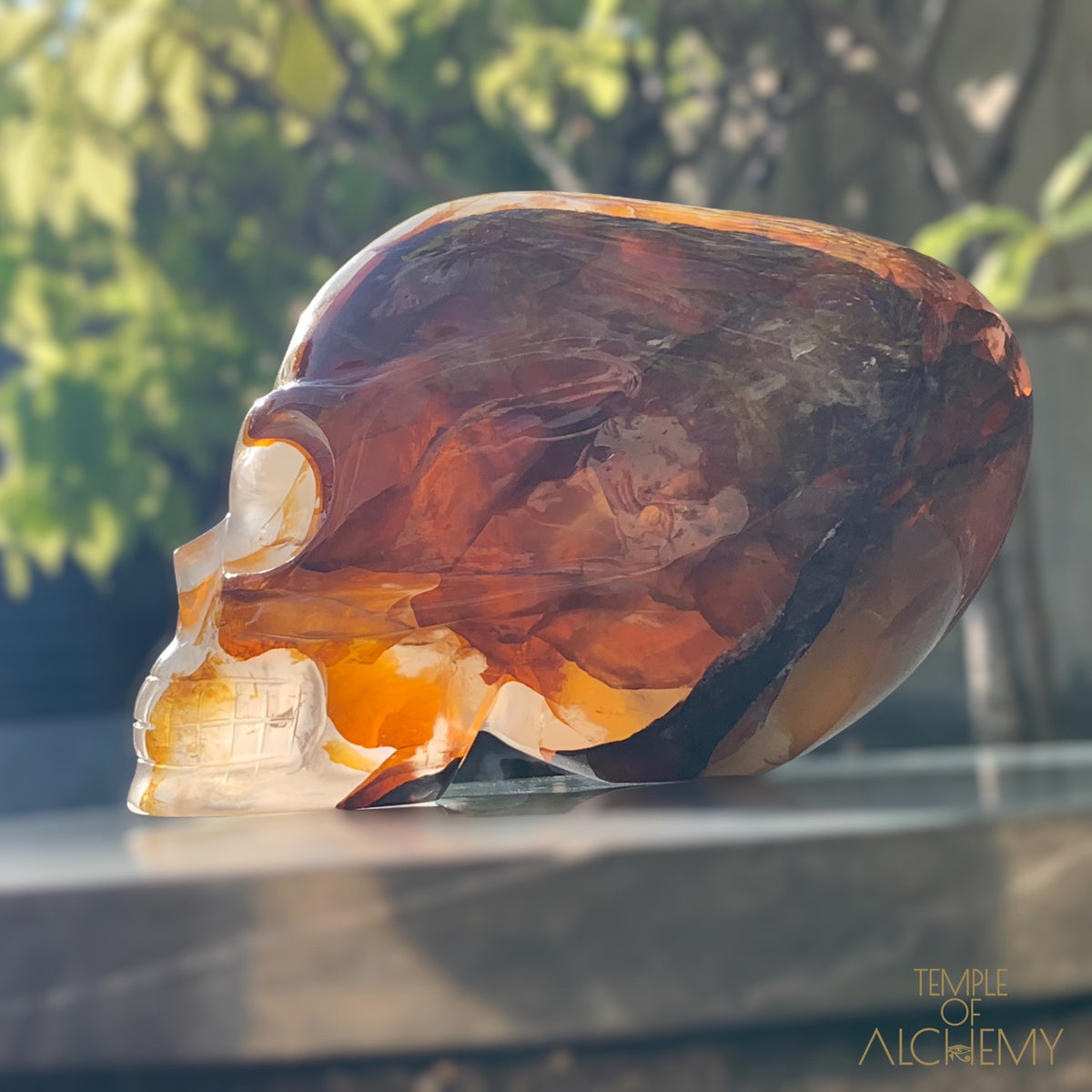 Star Girasol x Golden Healer x Hematoid Quartz