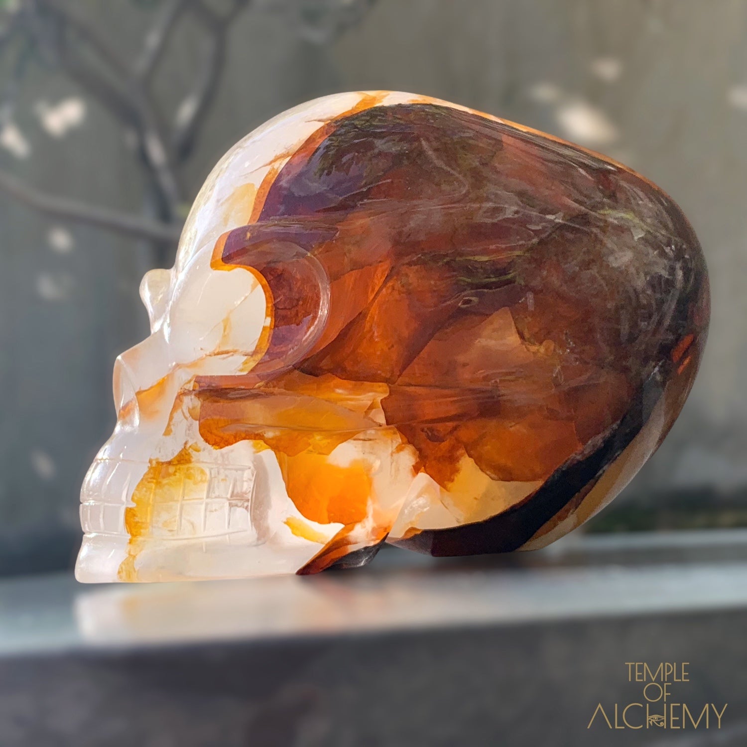 Star Girasol x Golden Healer x Hematoid Quartz