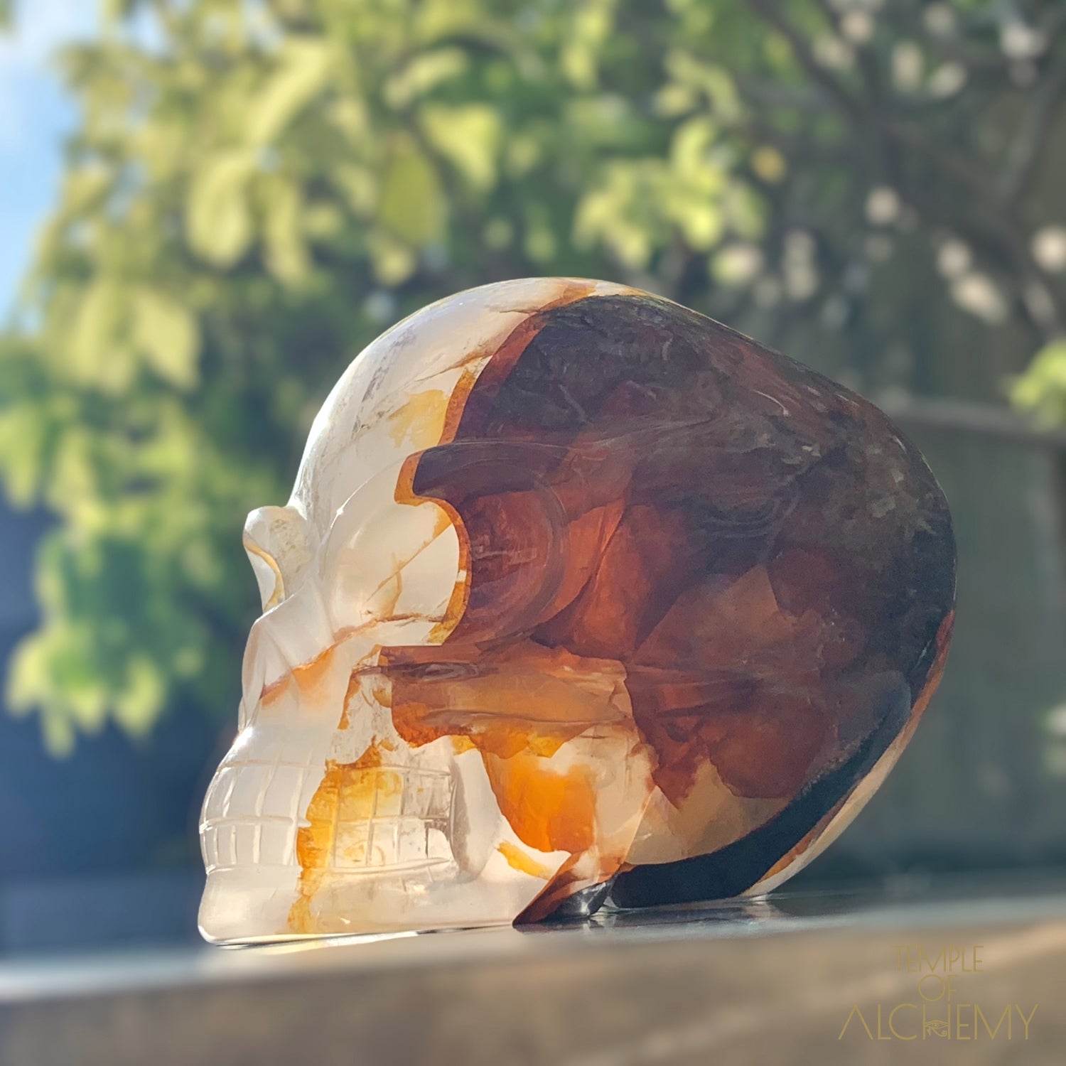 Star Girasol x Golden Healer x Hematoid Quartz