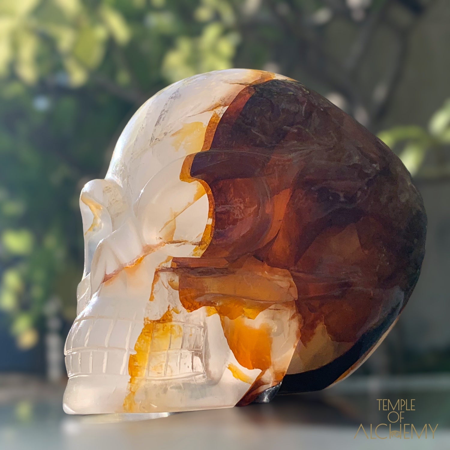 Star Girasol x Golden Healer x Hematoid Quartz