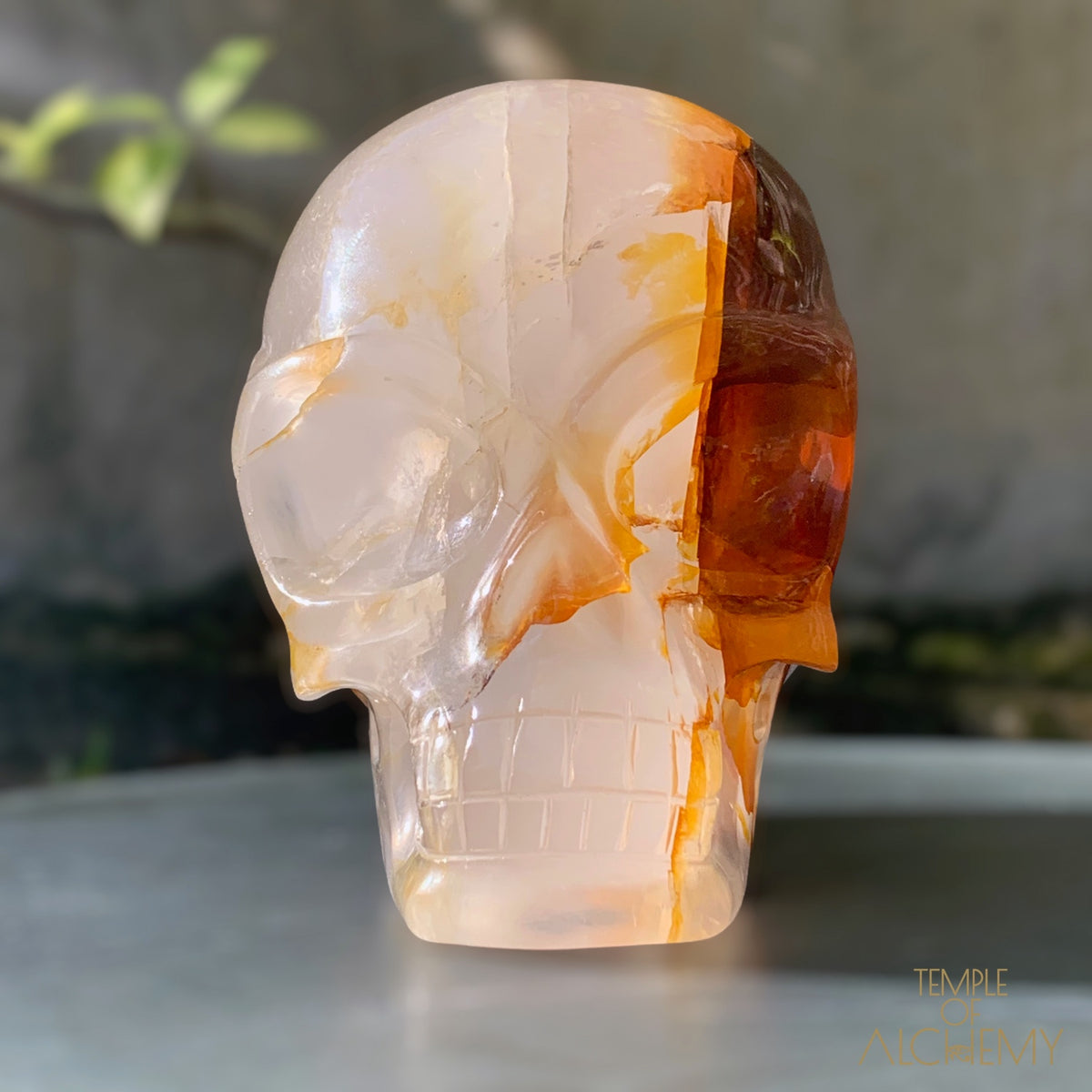 Star Girasol x Golden Healer x Hematoid Quartz