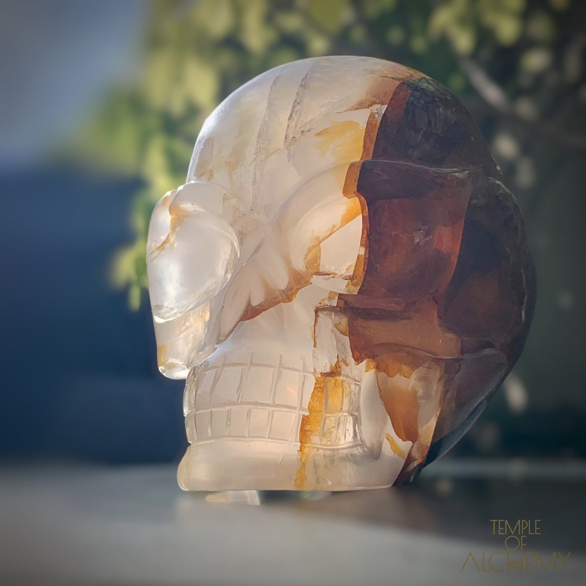 Star Girasol x Golden Healer x Hematoid Quartz