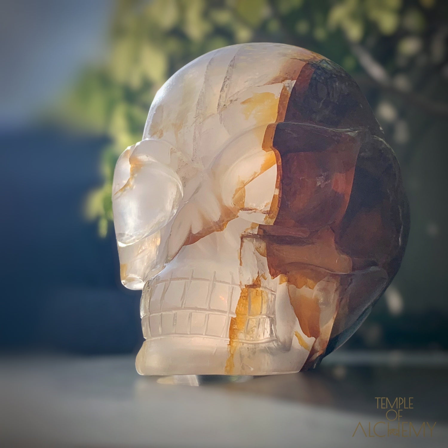 Star Girasol x Golden Healer x Hematoid Quartz