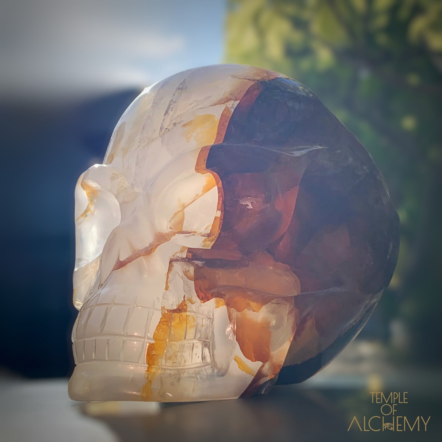 Star Girasol x Golden Healer x Hematoid Quartz