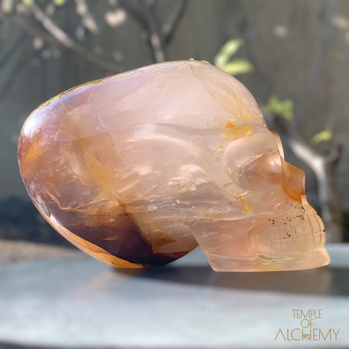 Star Girasol x Golden Healer x Hematoid Quartz