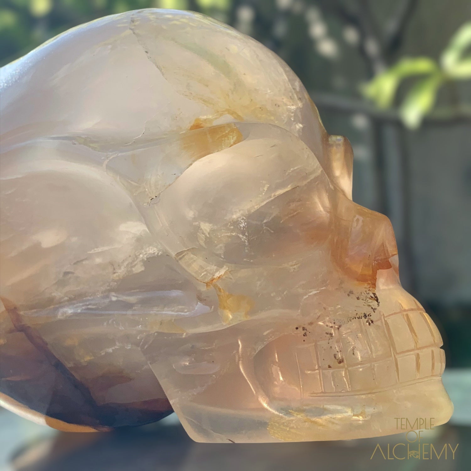 Star Girasol x Golden Healer x Hematoid Quartz