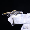 Gecko