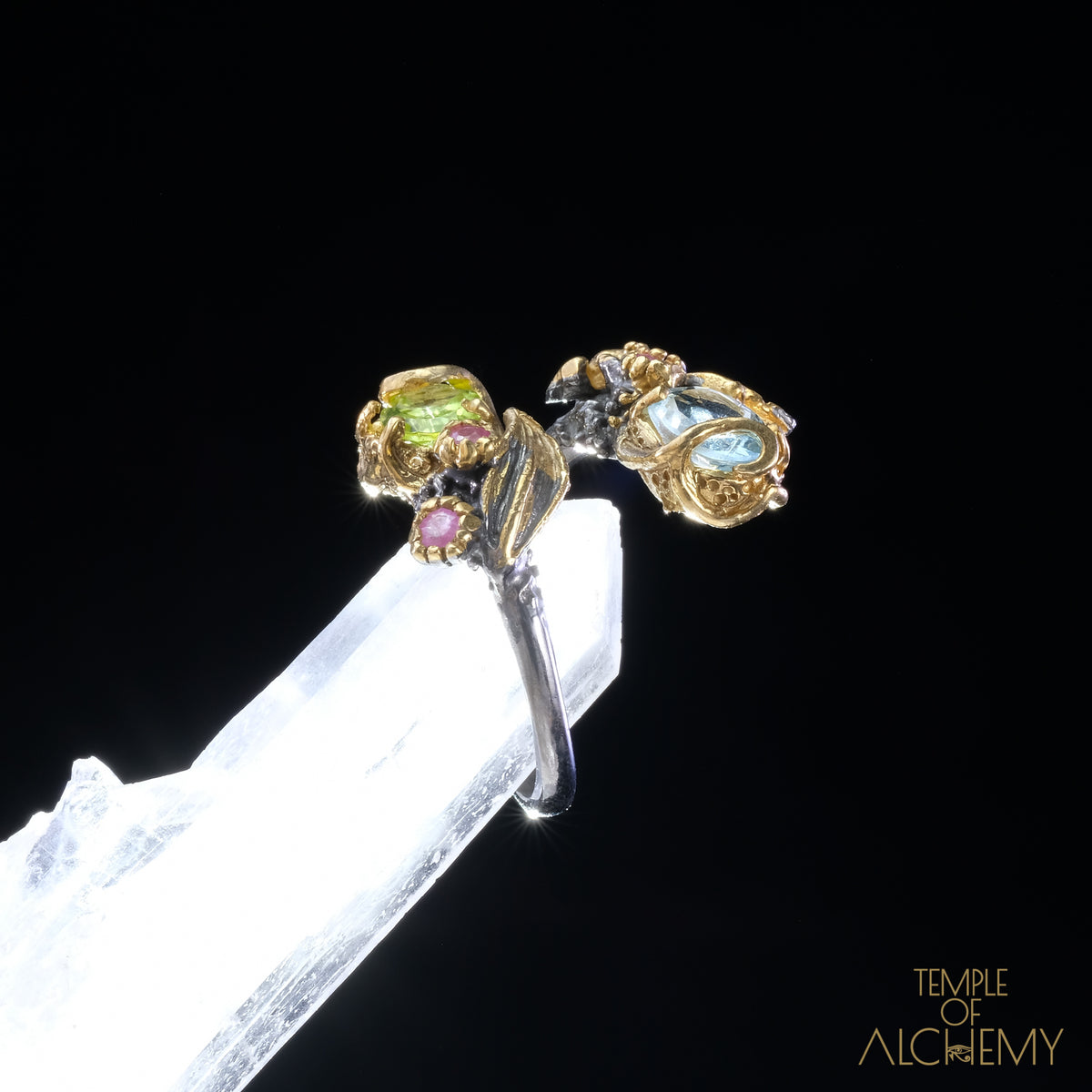 Abundance & Spiritual Insight