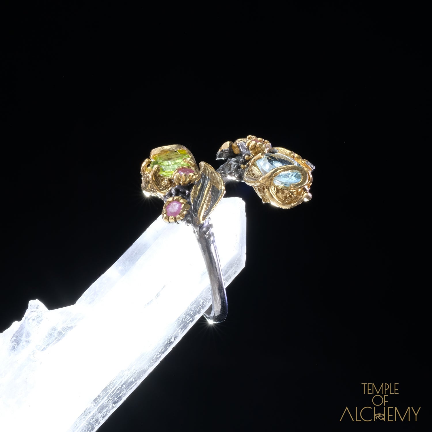 Abundance & Spiritual Insight